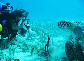 Discover Scuba Diver with Turtle in St Kitts